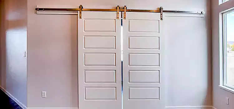 Glass Barn Door with Installation Hardware Kit West Des Moines