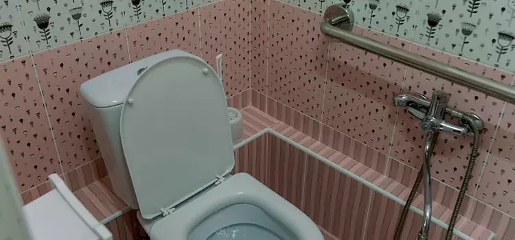 Meeting Diverse Needs With Accessible Restroom Solutions in West Des Moines, IA